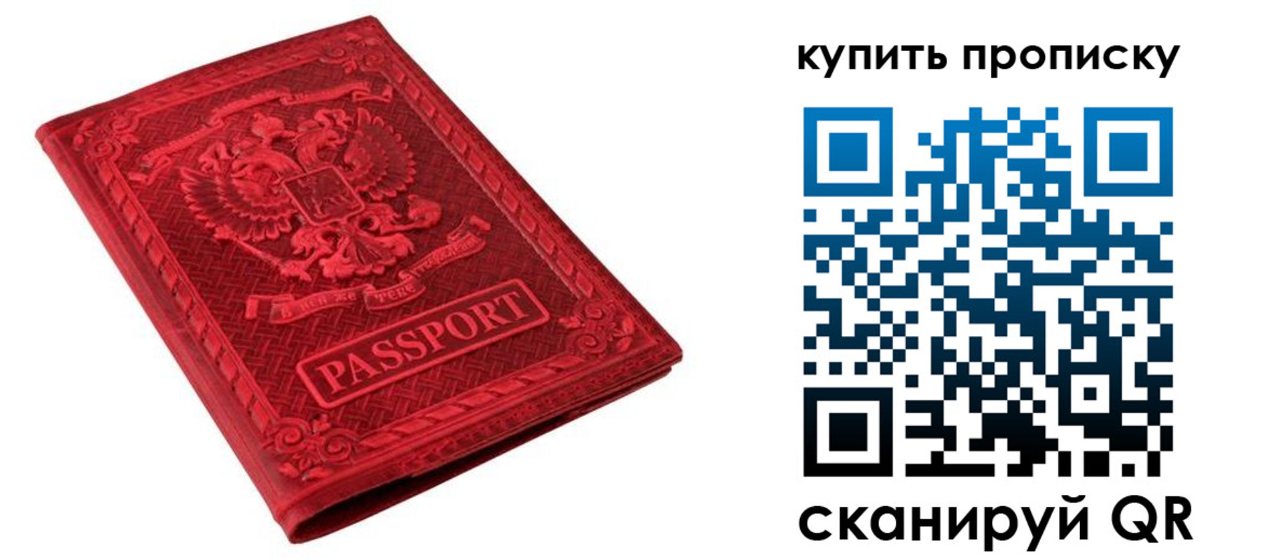прописка в Светлограде
